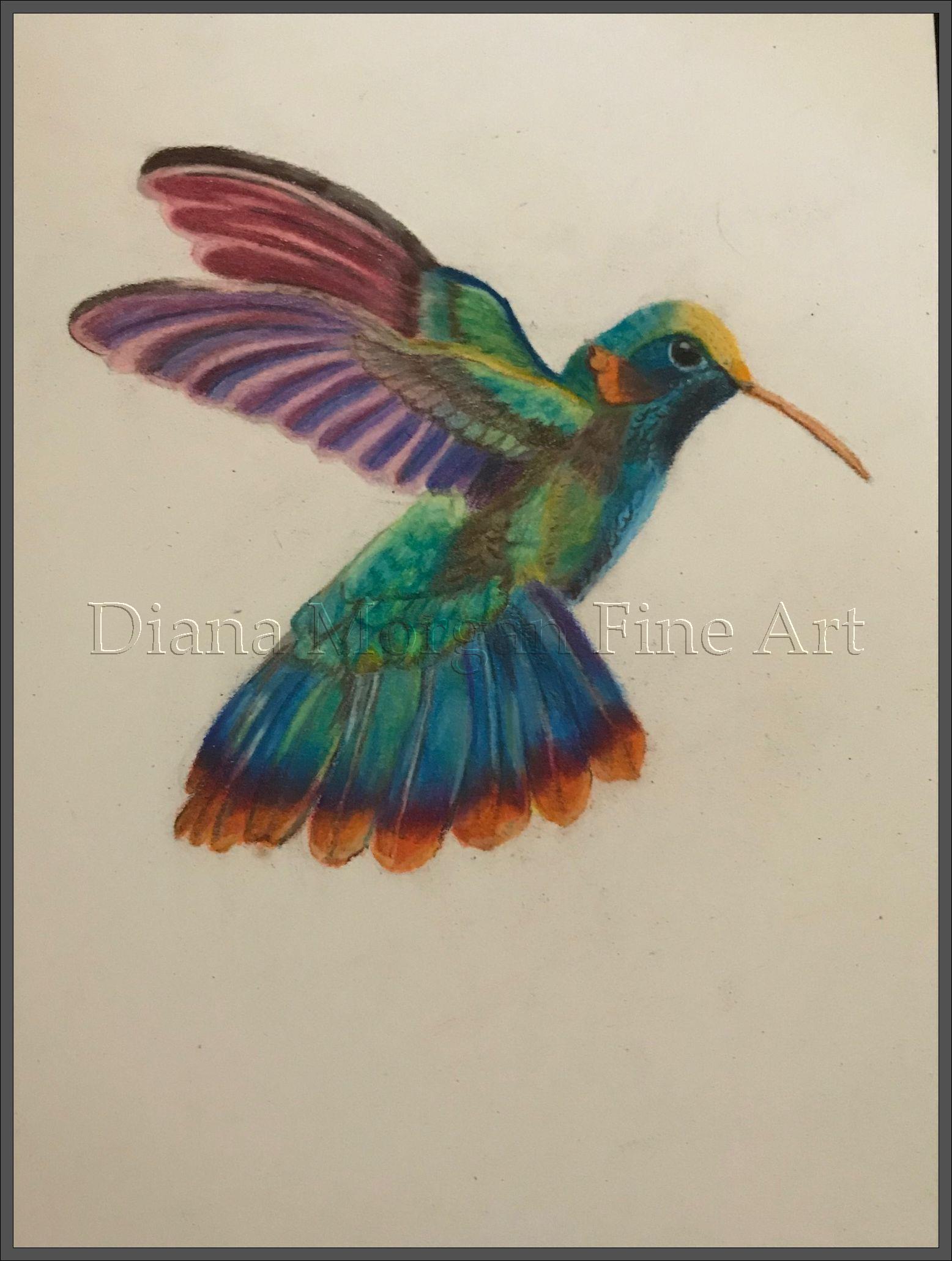 Colorful Hummingbird